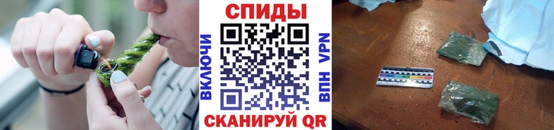 Купить Мураши Бутират бутик