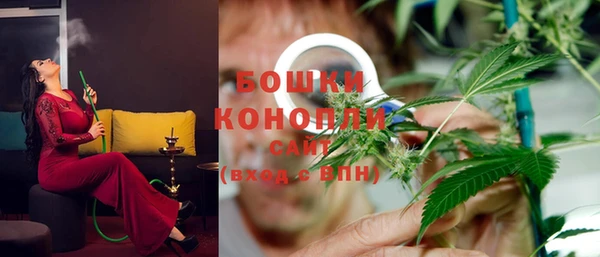 2c-b Белокуриха