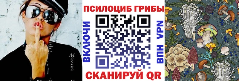 Купить где  Мураши  Галлюциногенные грибы MAGIC MUSHROOMS 